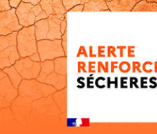 La-secheresse-s-intensifie-en-Haute-Savoie-le-departement-passe-en-alerte-renforcee large