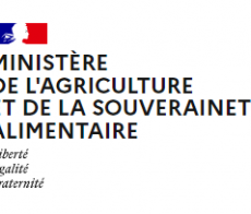 Logo MINISTERE AGRICULTURE