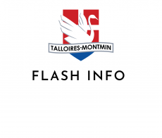logo flash info