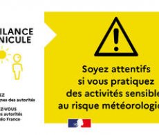 Canicule-point-de-situation-sur-l-alerte-CANICULE-niveau-JAUNE-jeudi-3-juillet-2025 large Canicule-point-de-situation-sur-l-alerte-CANICULE-niveau-JAUNE-jeudi-3-juillet-2025 large