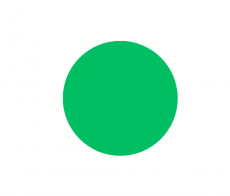 vert