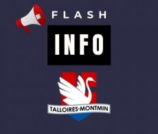 logo  flash info