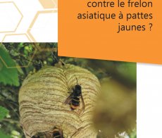 Flyer -Description Plan national-1-3 page-0001