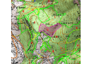 Exploitation forestiere Secteur Planfait