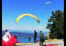 IMG-20250715-WA0025